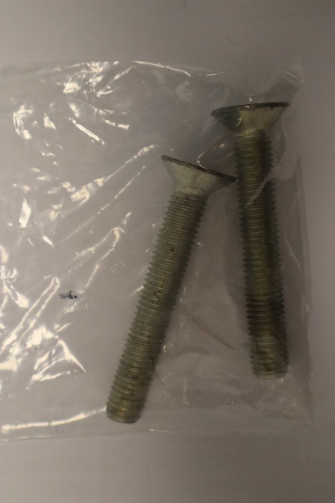 Boulon tête plate 10 x 60mm 2 pièces