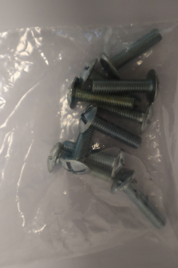 Boulon 6 x 30mm 10 pièces